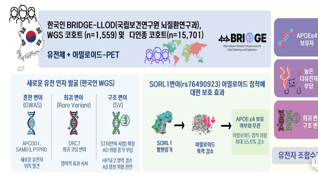 [포씨유신문 건강기획] “알츠하이머병, 유전요인 대거 규명… 정밀 맞춤치료 시대 열린다”