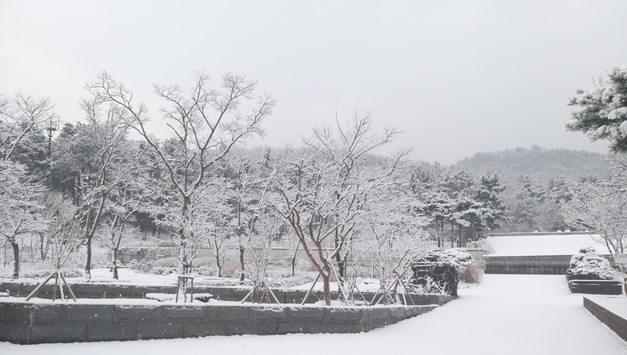 올해 마무리는 다양한 체험이 준비된 바다향기수목원에서