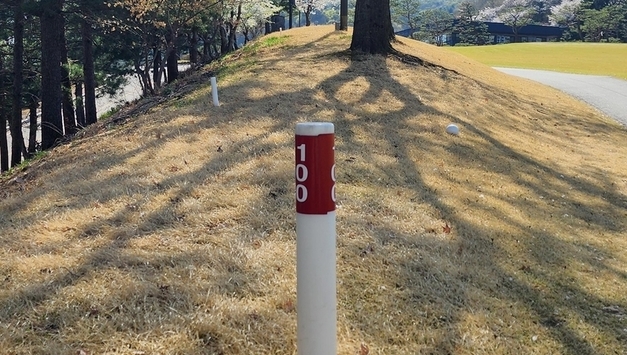 [골프 룰 28] "방해돼서 치웠을 뿐인데" 캐디의 친절이 나에게는 불행