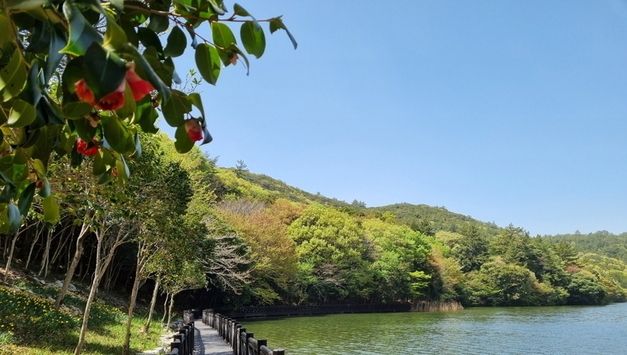 완도수목원, 설 연휴 무료 개방