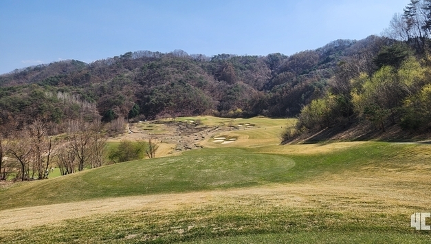 [혁신] 포씨유신문, 국내 최초 '리치오 법칙' 도입… 데이터 저널리즘의 새 지평 연다