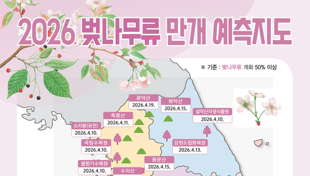 산림청, 2026년 봄꽃 만개 시기 예측 발표