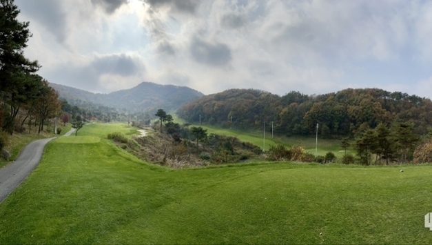 [단독] 캐디 근로자 추정제도 도입 시, 캐디·골프장 장단점 비교, 판례와 법령이 말하는 현실