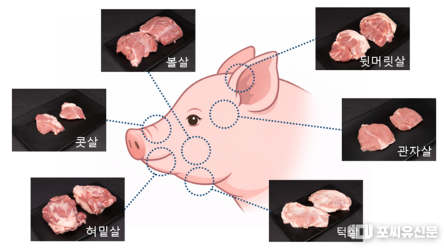 돼지 한 마리에서 단 1kg, 아는 사람만 먹는 '머릿고기'