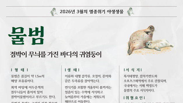 3월의 멸종위기 야생생물로 ‘물범’ 선정