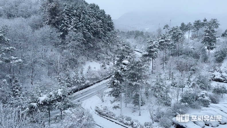 27일 눈 내린 강원도 홍천의 샤인데일 CC 진입로, 사진: 독자 제보