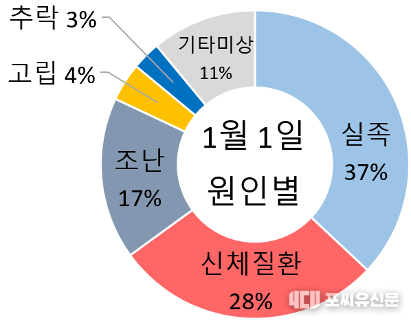 1월 1일 원일별 사고 사례, 자료: 행정안전부 제공