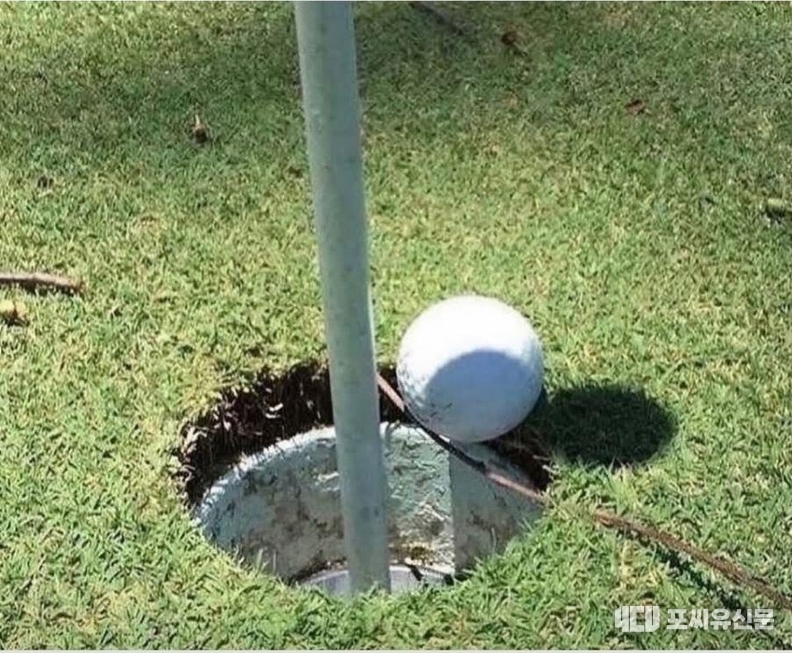공이 나뭇가지에 걸려서 홀인이 되지 못한 상황