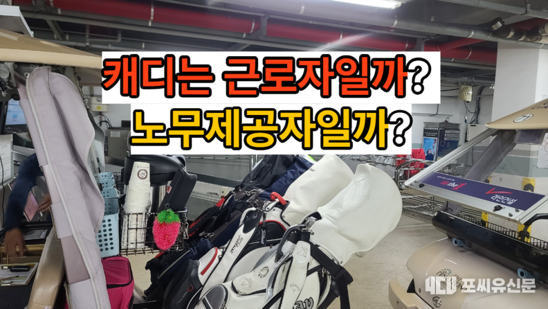 그래픽: 김대중 기자