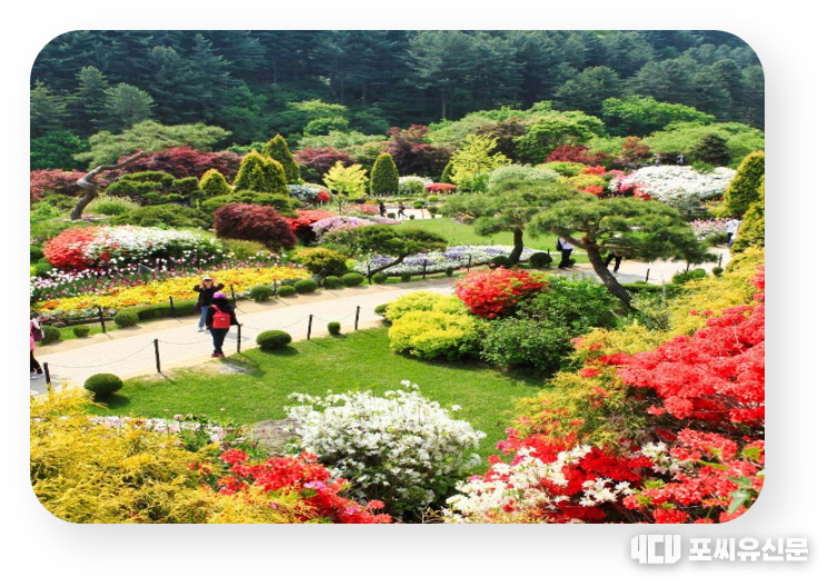 아침고요수목원, 사진제공: 경기도