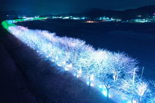 사진: 보은군청