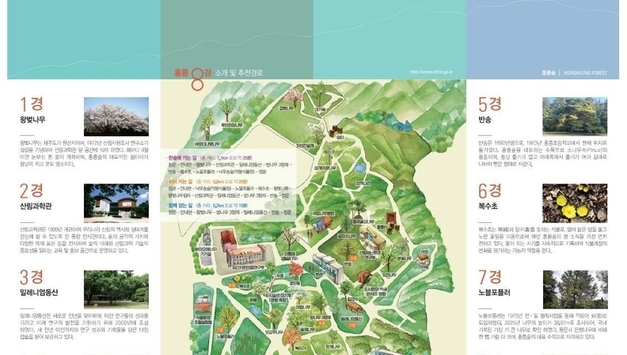 100년 역사 품은 연구시험림 홍릉숲, ‘홍릉8경’ 선정해 시민에 첫 공개