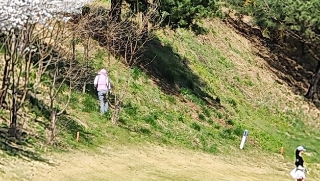 공주 골프장서 공 찾던 남성 캐디, 뱀에 물려 병원 이송