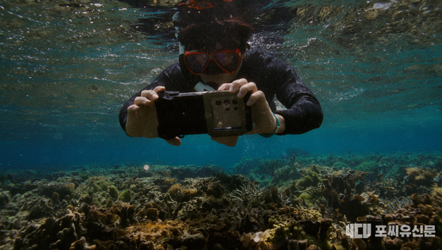 삼성전자, 갤럭시 ‘오션 모드’ 활용 산호초 보호 프로젝트로 국제 어워드 수상