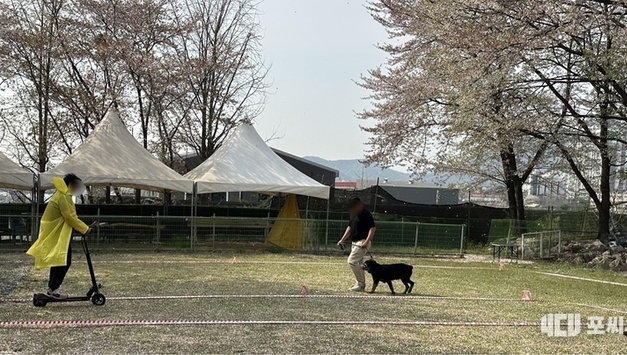 경기도, 맹견사육허가제 계도기간 연말 종료···허가 신청 당부